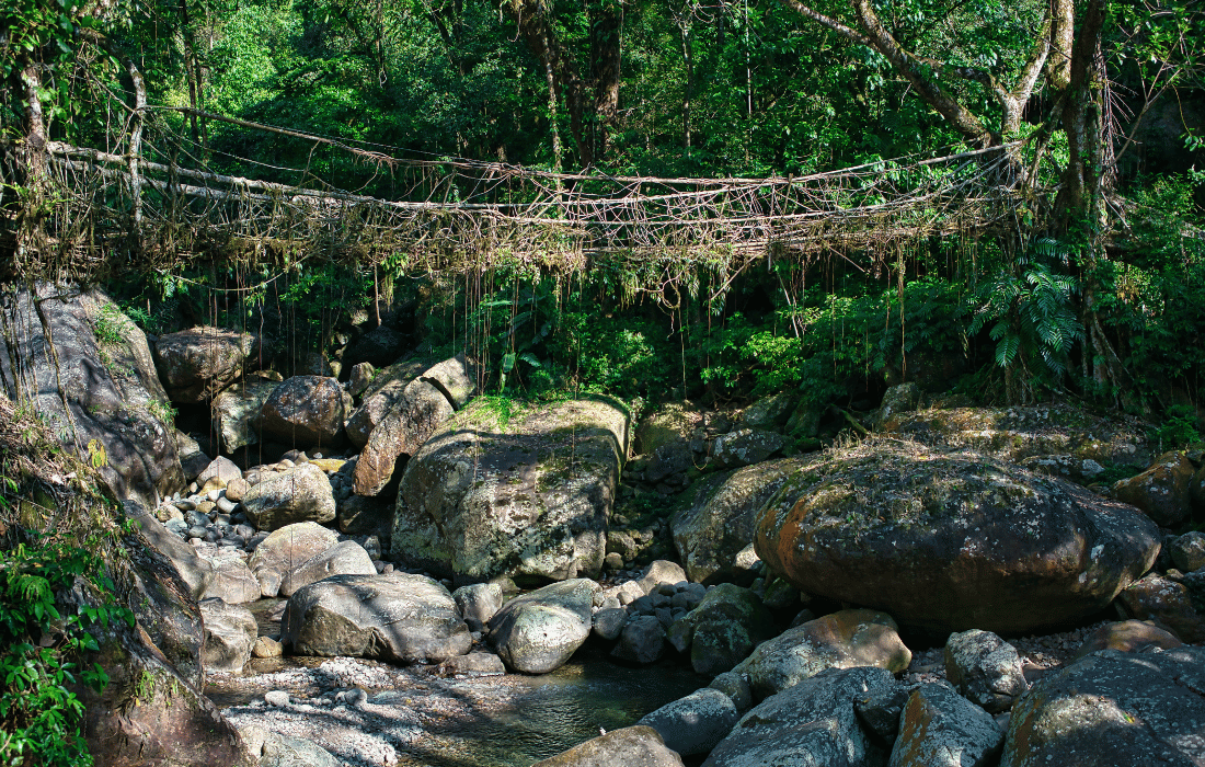 Cherrapunji Sightseeing Tour